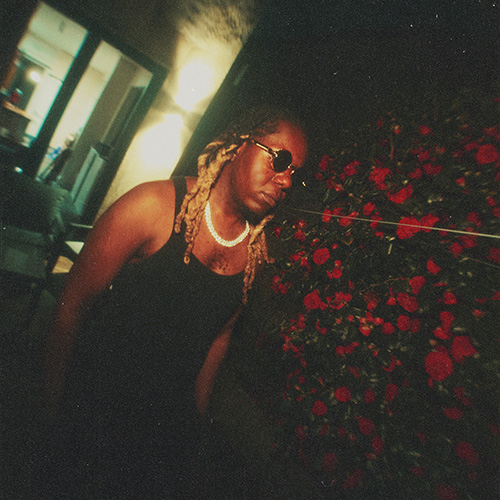 Jupiter Grey – Garden